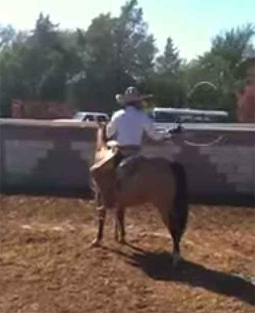 Jose MIer the Mexican Cowboy