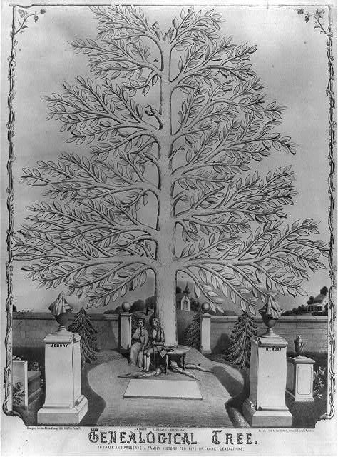 Historic printed genealogical family tree, a public-domain illustration from the Library of Congress
